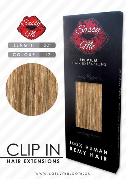 #12 Dirty Blonde - Clip In Hair Extensions